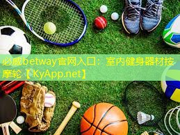 必威betway官网入口：室内健身器材按摩轮