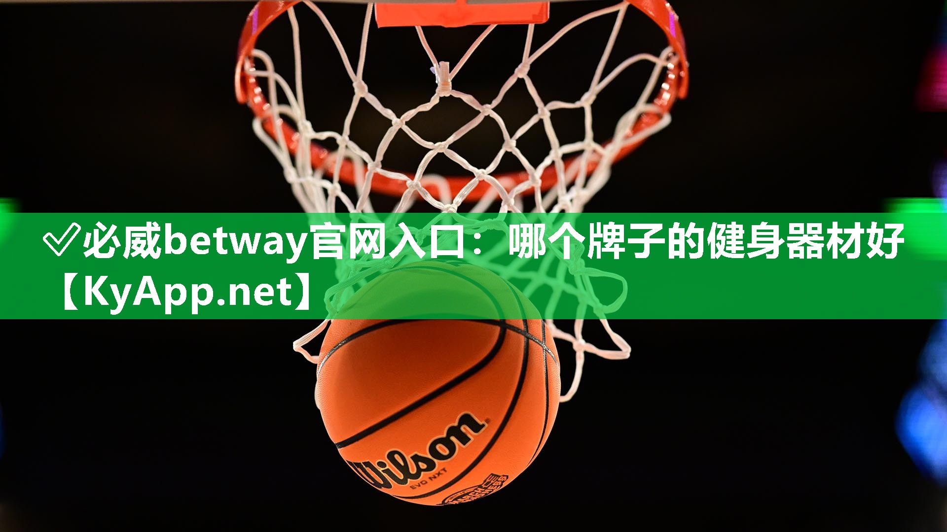 ✅必威betway官网入口：哪个牌子的健身器材好