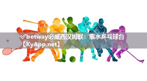 ✅betway必威西汉姆联：惠水乒乓球台