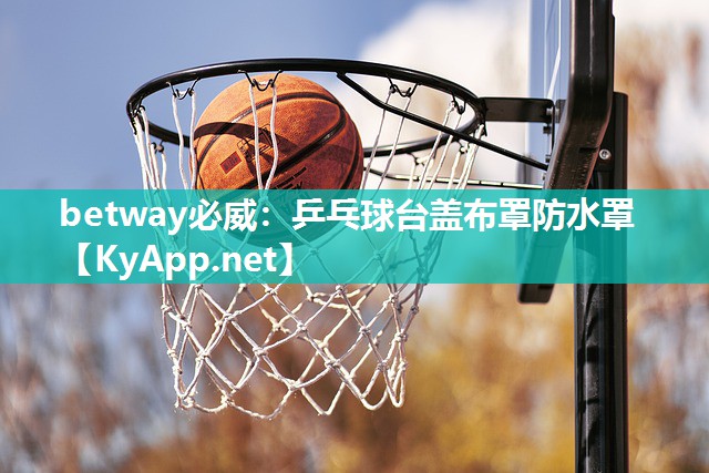 betway必威：乒乓球台盖布罩防水罩