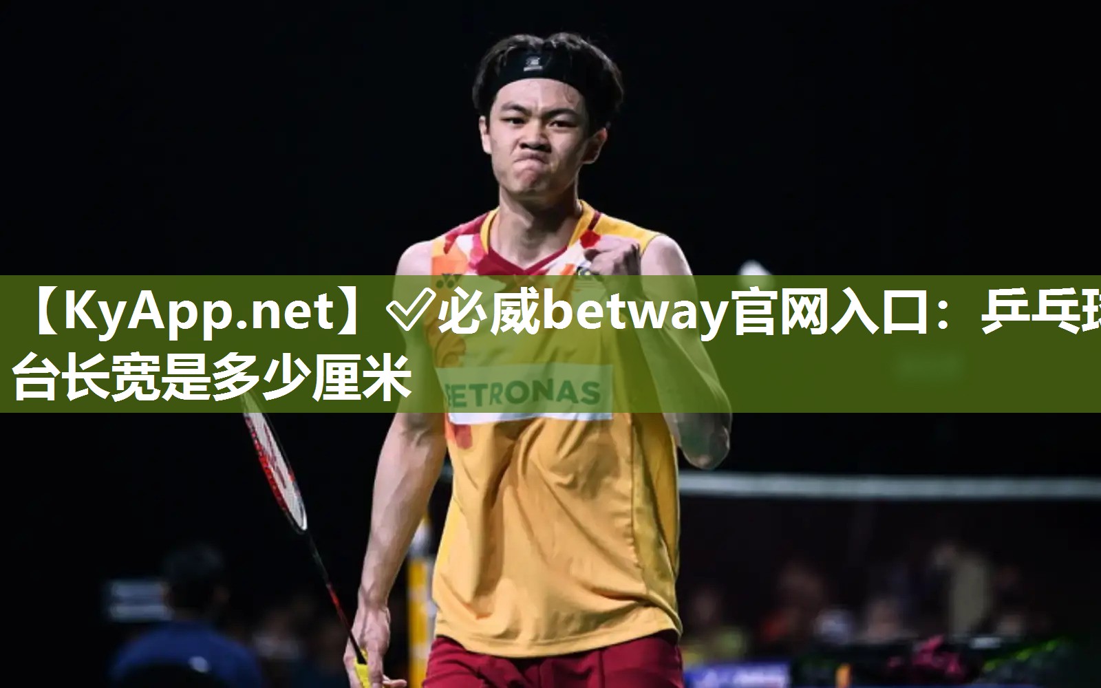 ✅必威betway官网入口：乒乓球台长宽是多少厘米