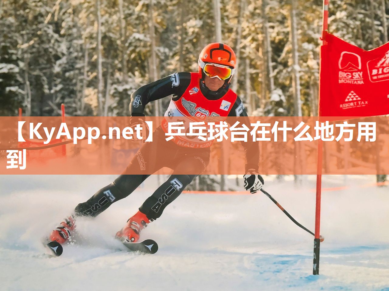 乒乓球台在什么地方用到