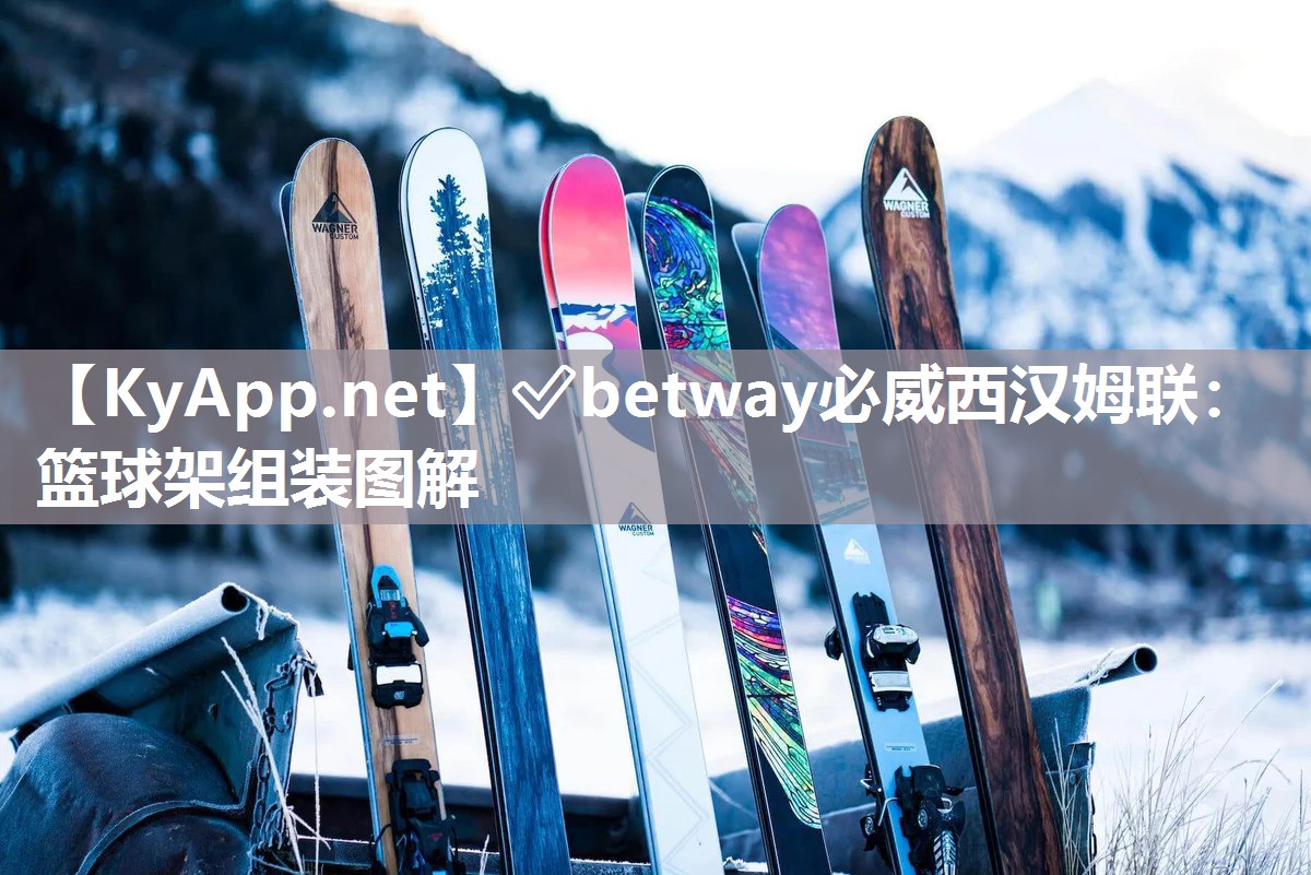 ✅betway必威西汉姆联：篮球架组装图解