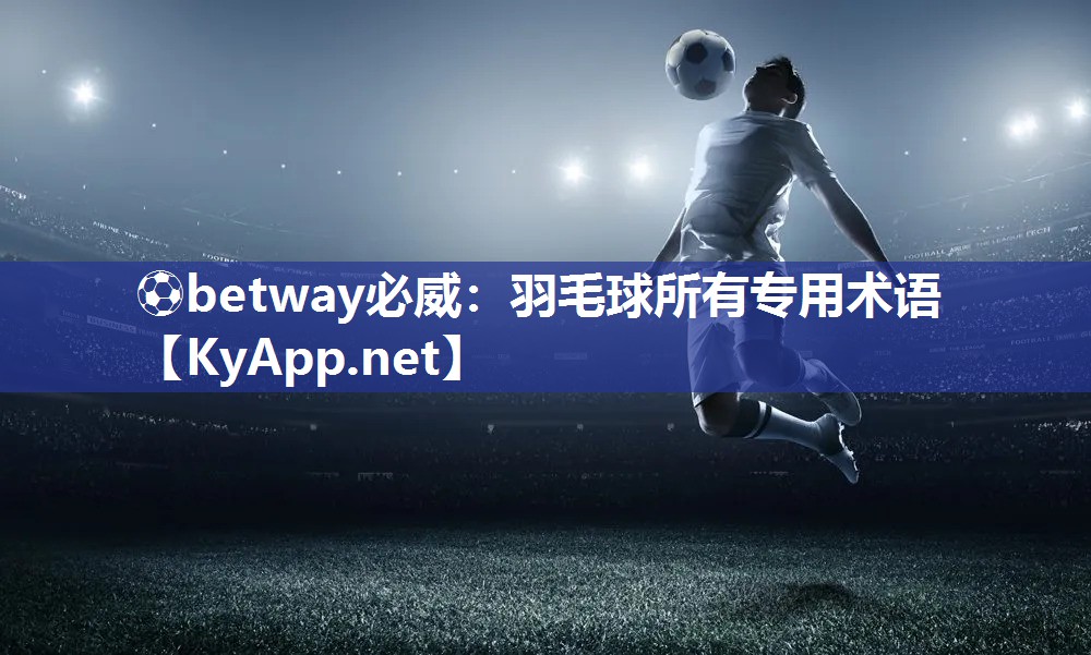 ⚽betway必威：羽毛球所有专用术语