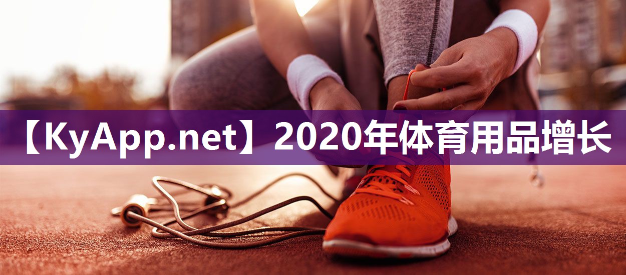 2020年体育用品增长