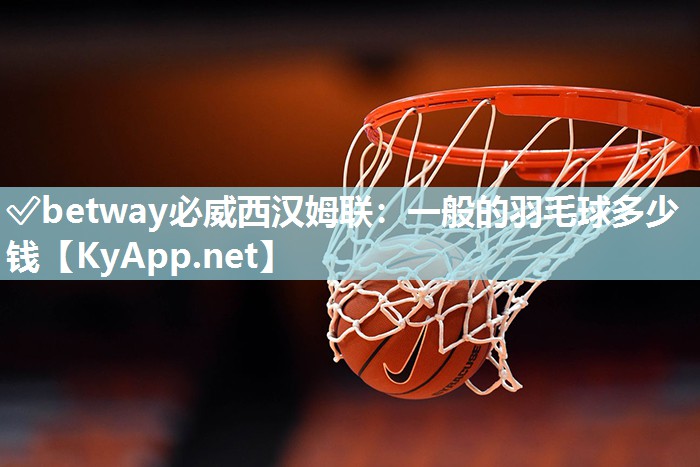 ✅betway必威西汉姆联：一般的羽毛球多少钱