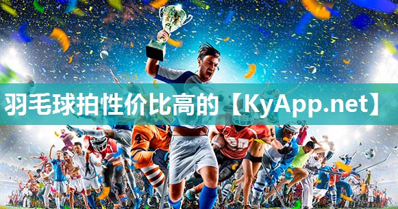 羽毛球拍性价比高的