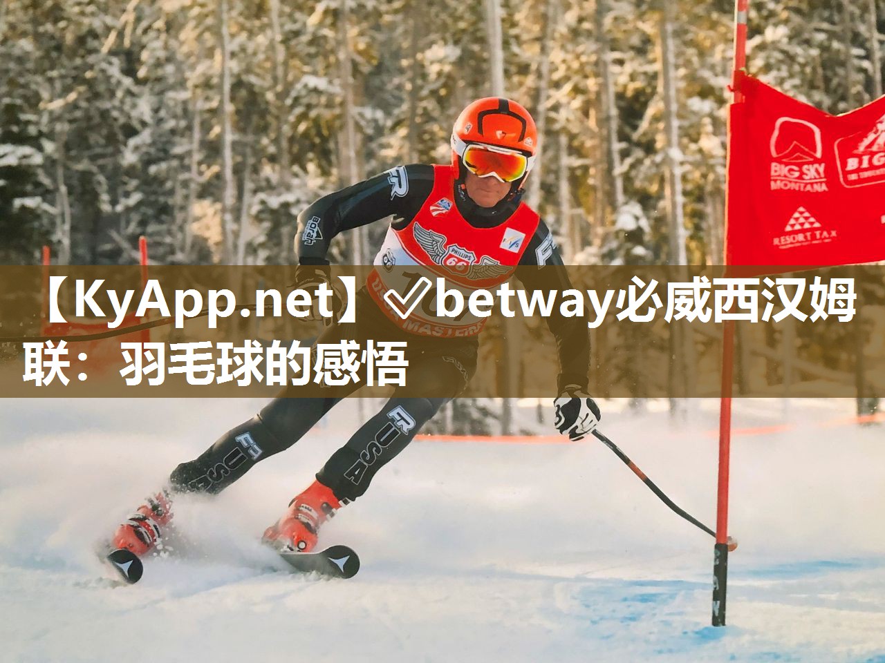 ✅betway必威西汉姆联：羽毛球的感悟