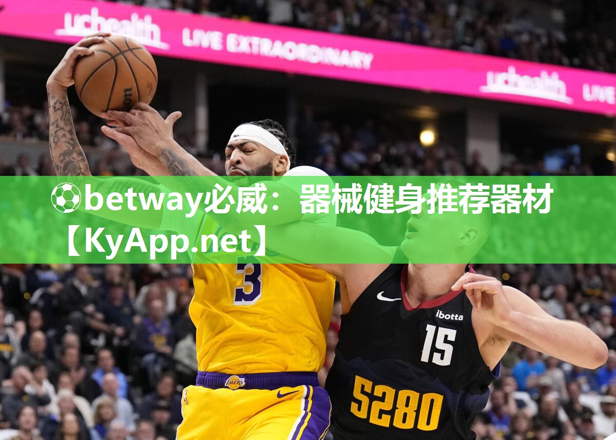 器械健身推荐器材