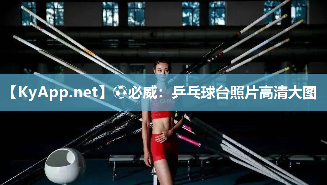 乒乓球台照片高清大图