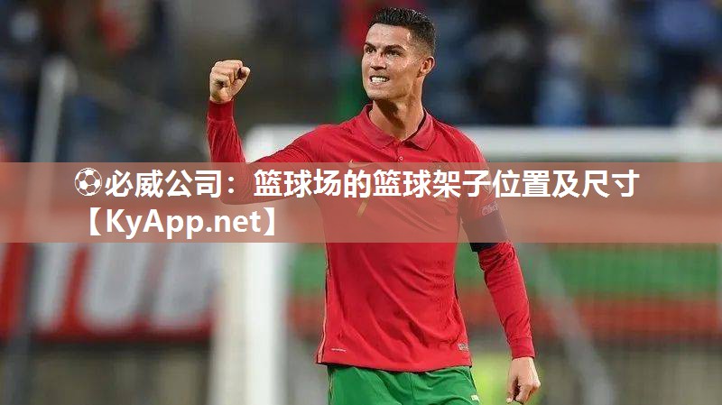 篮球场的篮球架子位置及尺寸