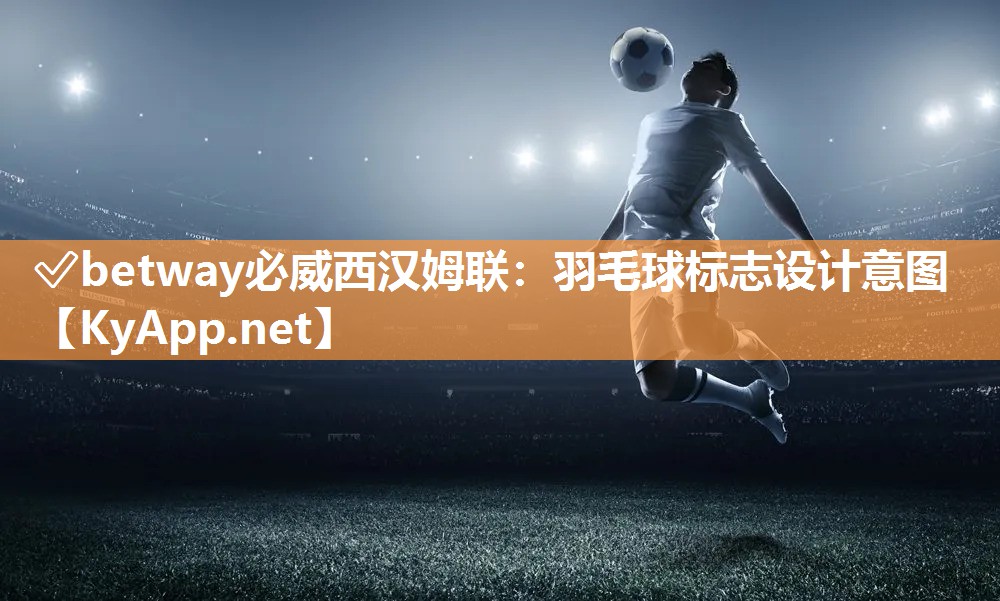 羽毛球标志设计意图