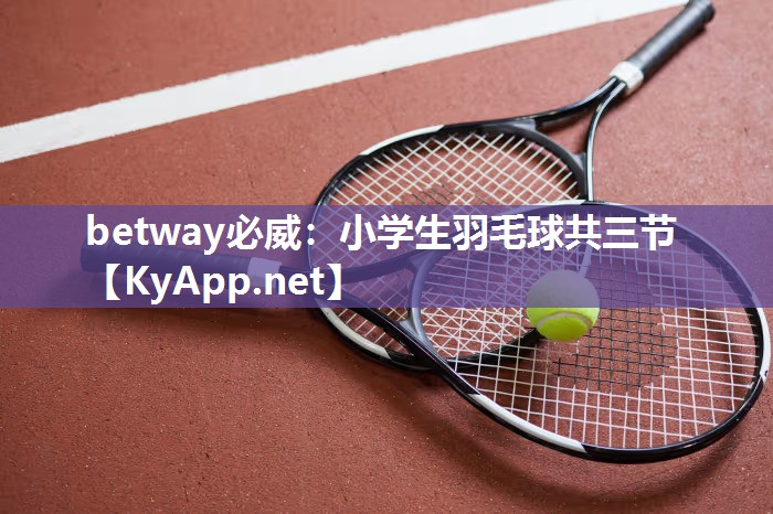 小学生羽毛球共三节