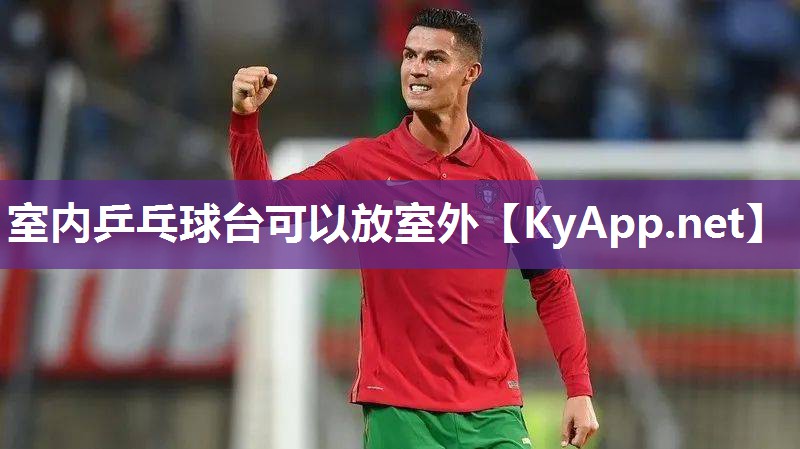 室内乒乓球台可以放室外