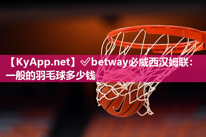 一般的羽毛球多少钱