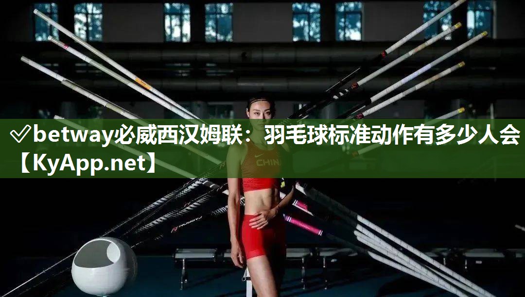 羽毛球标准动作有多少人会