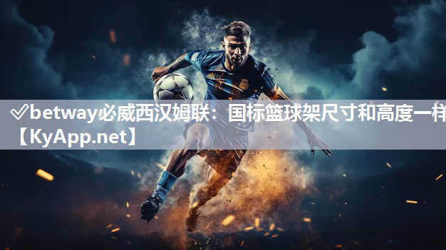 国标篮球架尺寸和高度一样