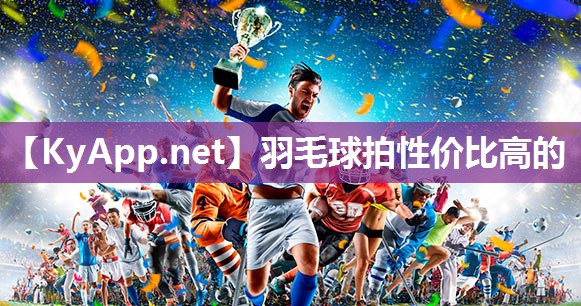 羽毛球拍性价比高的