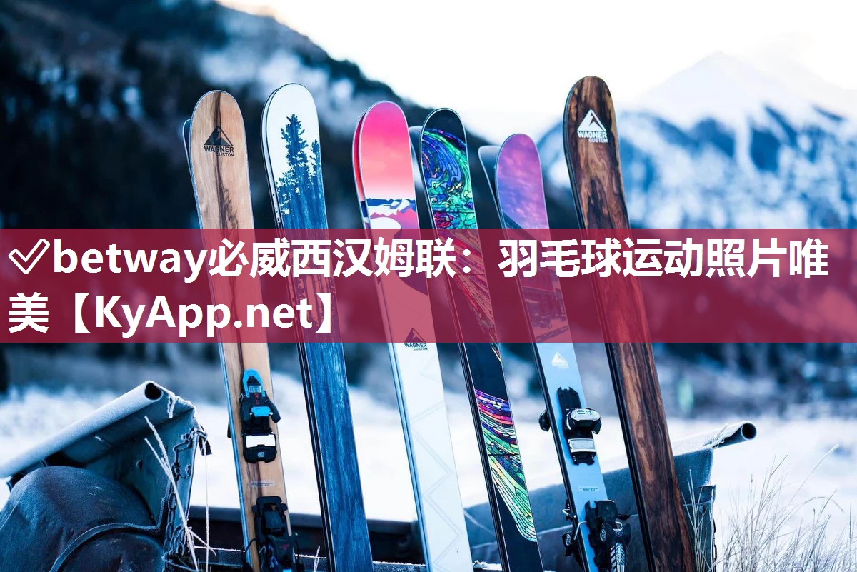 羽毛球运动照片唯美